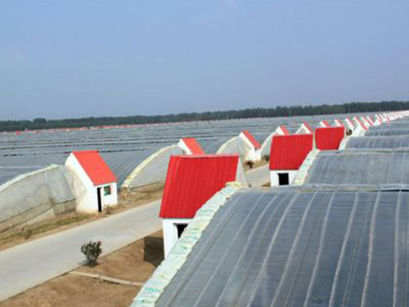 溫室工程建設前，你必須了解這幾件事！